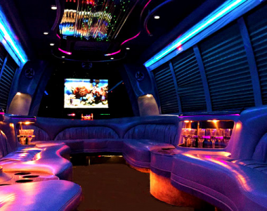 24+ Affordable limo mn information